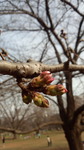 170320_144644.jpg