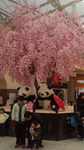 170320_102309.jpg
