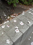 180327_091917.jpg