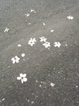 180327_091856.jpg