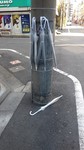 IMG00034.jpg