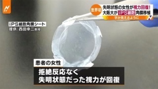 puffer-22.jpg