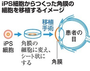AS20190829002407_commL.jpg