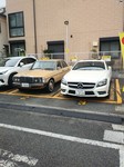 IMG00113.jpg