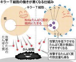 yjimage-12.jpg