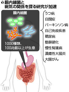 20180207-027-OYTEI50007-N.jpg